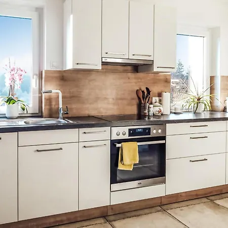 In * Feldbach (Styria)