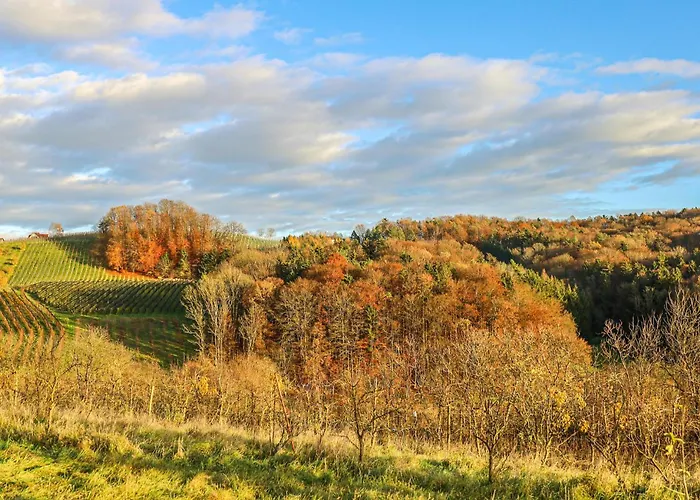 In بيت للعطل فيلدباخ